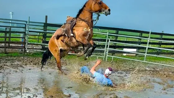 Try Not to Laugh Challenge Impossible Best Fails of July 2025